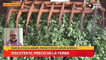 Discuten el precio de la yerba