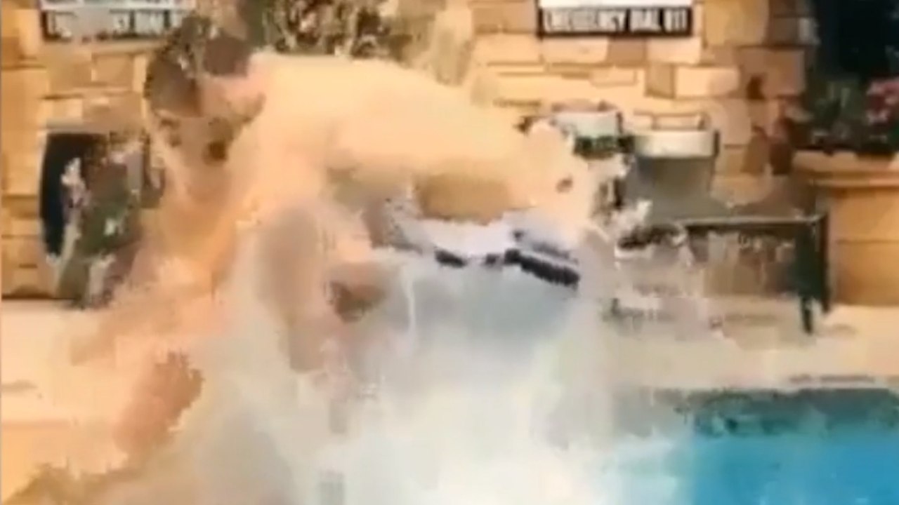 Un exercice pour les jambes mieux que les Burpees