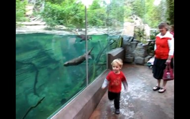 Cet enfant est  suivi de près par une loutre attachante