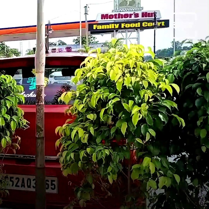 Mother's Hut, A Restaurant Which Runs By Women