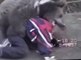 MMA : Khabib Nurmagomedov, roi des rings, s'entraînait contre un ours à 9 ans