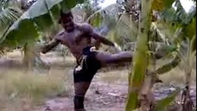 Muay Thaï : Buakaw découpe un arbre grâce à des coups de pied
