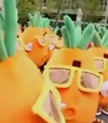 49 carottes géantes dansent sur une place publique