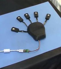 La souris à cinq doigts japonaise