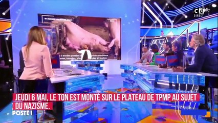 En plein règlement de comptes dans "TPMP", Delphine Wespiser recadre sèchement Cyril Hanouna, "elle est folle elle"