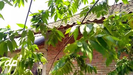 KESIBUKANKU DI DAPUR SEDERHANA.MASAK 3 MENU.BERSIH2 DAPUR.BERSIH2 KULKAS.KULKAS LAMA SEPERTI BARU.