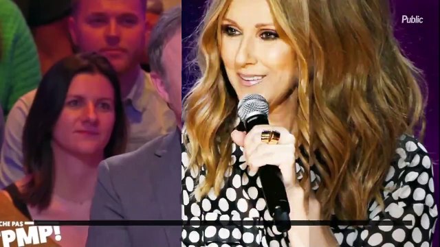 Les fans de Céline Dion furax contre ce chroniqueur de TPMP : ce qu'il a osé balancer en direct !