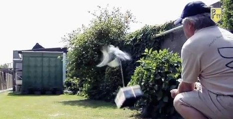 Ils font appel à des pigeons voyageurs pour livrer des baskets