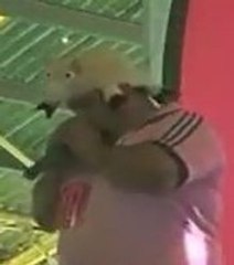 Le Zapping Gentside du 22 novembre 2011