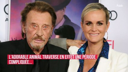 Ce membre du clan Hallyday a dû être pris en charge en urgence : Laeticia d'abord démunie, brise le silence !