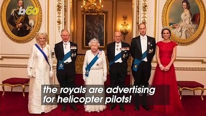 Are You the High Flier the Royals are Looking For?