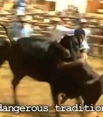 Le peuple betsileo danse avec les zébus dans un rituel initiatique