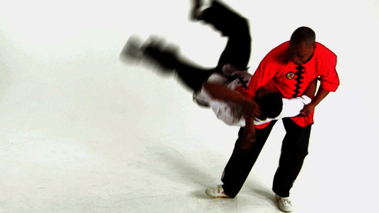 Kung Fu: Apprenez à réaliser toutes les techniques de base