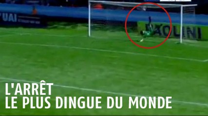 Le magnifique sauvetage acrobatique d'un gardien de but sur sa ligne
