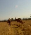 Une collision entre un vélo et une grosse antilope en Afrique du Sud