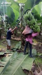 Top Trending  The Best TikTok Videos Compilation  Ep-2