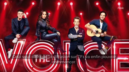 "The Voice" : gros problème entre les coachs, Florent Pagny et Marc Lavoine exaspérés par...