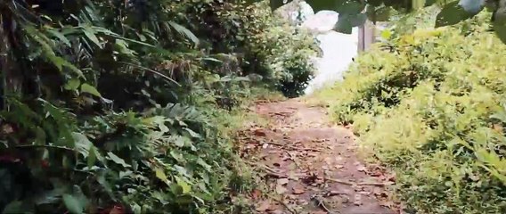 WONDERFUL INDONESIA  (THE SECRET OF NUSAKAMBANGAN)