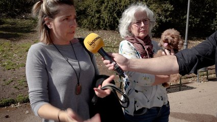 Els veïns de Barcelona espantats per la processionària a Barcelona