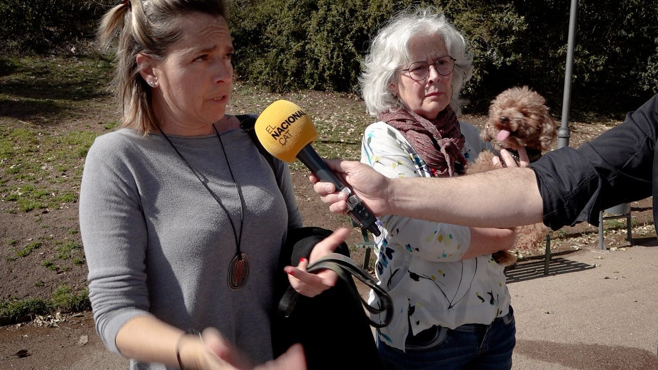 Els veïns de Barcelona espantats per la processionària a Barcelona