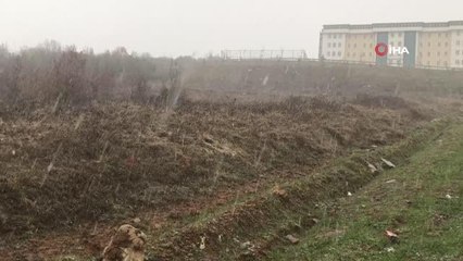 Üç gündür kayıp olan üniversite öğrencisi ağaçta asılı bulundu