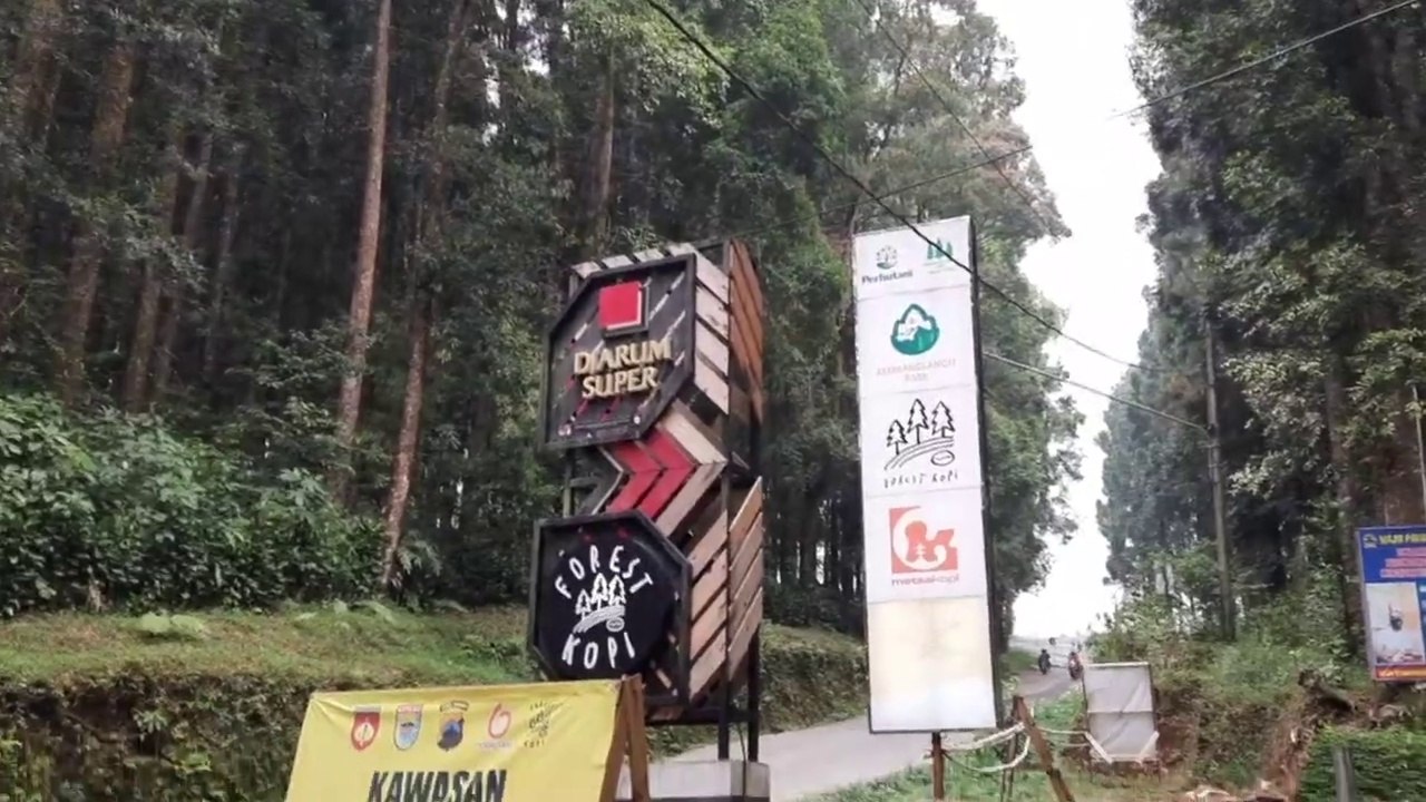 FOREST CAFE