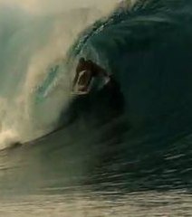 Les exploits du champion du monde de surf, Kelly Slater