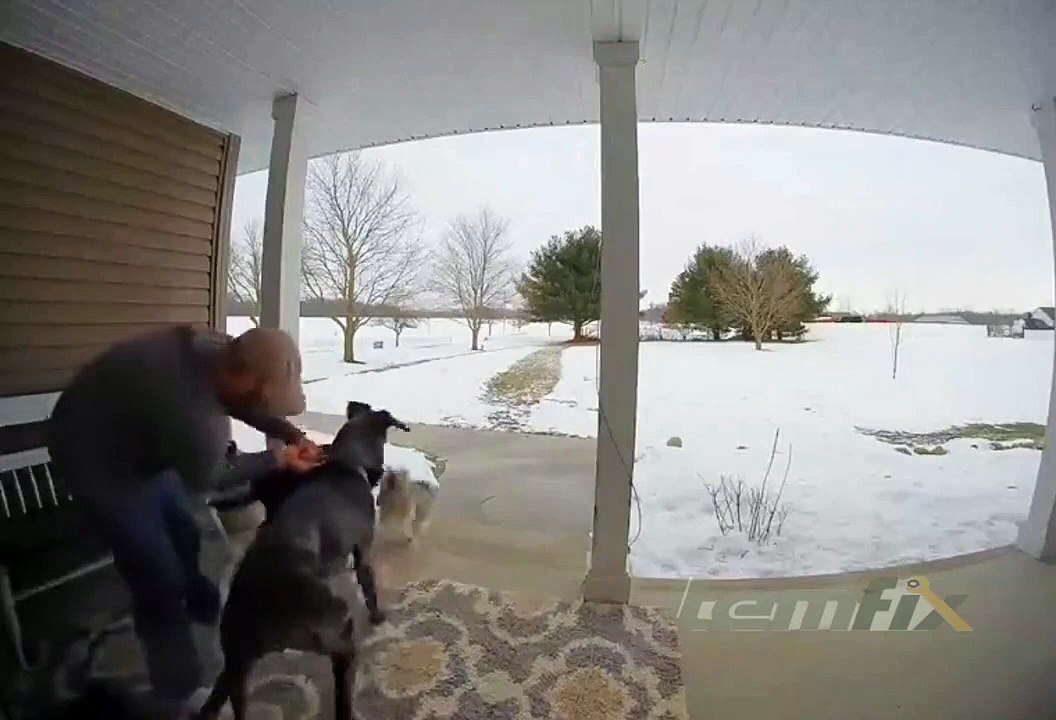 Ne jamais attacher le chien au pilier de la terrasse...