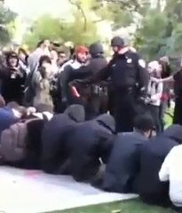 Il asperge des étudiants et devient le policier américain le plus détesté du web