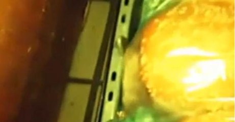 Un ancien employé de McDonald's filme une souris dans un sac de pain