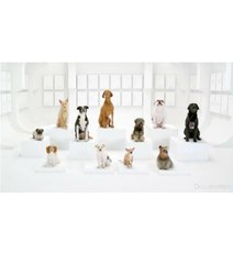 Nouvelle pub Volkswagen - The Bark Side