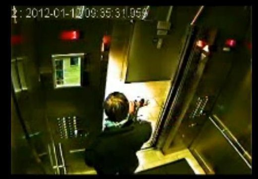 Cet homme prend l'ascenseur avec son chien... mais oublie de le faire entrer