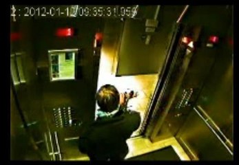 Cet homme prend l'ascenseur avec son chien... mais oublie de le faire entrer