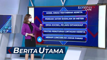 Remaja di Cengkareng Tega Aniaya Kucing dengan Diadu ke Ular Sanca Hanya Demi Konten!
