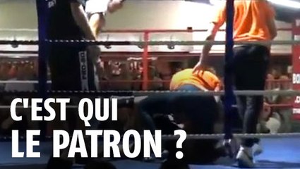 Ce boxeur n'obéit pas à l'arbitre, un juge va venir le mettre KO !