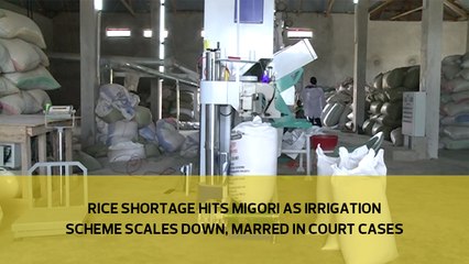Rice shortage hits Migori as irrigation scheme scales down, marred in court cases
