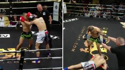 KO : Julio Pena détruit Tom Evans d'un coup de poing surpuissant