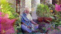Precious moments_ PM Modi feeding peacocks at his residence