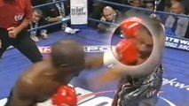 Le coup au visage et le ko le plus violent de l'histoire de la boxe
