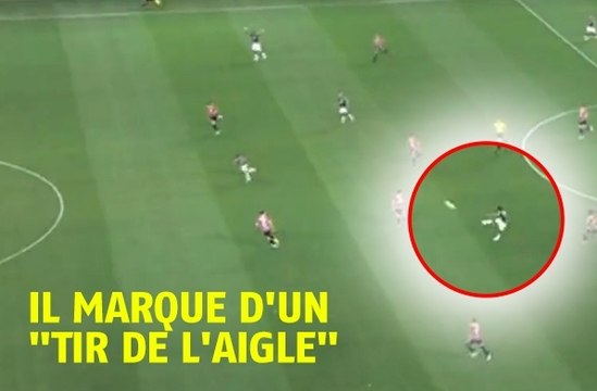 Le superbe but grâce au tir de l'aigle de Robinho