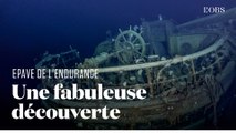 Les splendides images sous-marines du navire d'Ernest Shackleton retrouvé en Antarctique