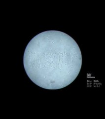 Un logiciel permet de faire danser les spermatozoïdes