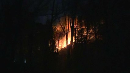 전남 곡성 야산 산불 50여 분만에 진화..."화기 취급 주의" / YTN