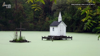A Wedding in the Middle of a Pond Might Be The Coolest Thing You’ll Ever See