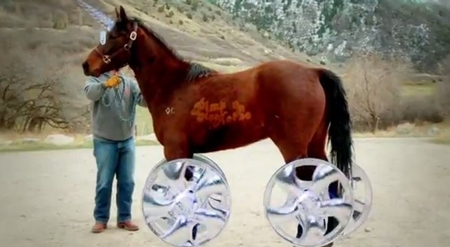 Pimp my Horse, le tuning équestre de Freddie Wong