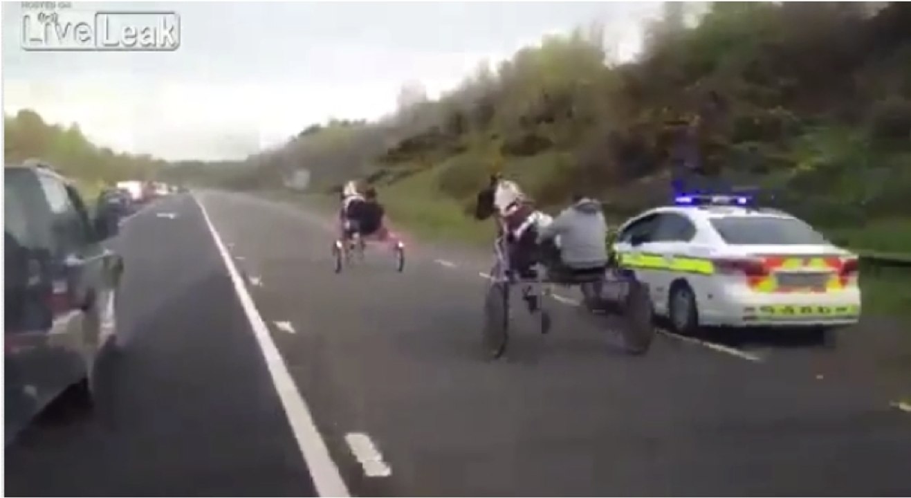 Une course-poursuite entre la police et des chevaux sur une route