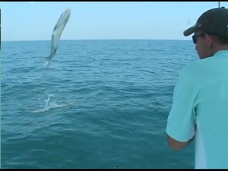 Un énorme barracuda atterrit directement sur un bateau de pêche !