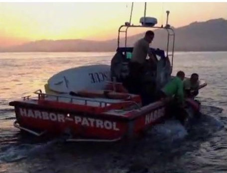 Etats-Unis : un cheval retrouvé dans l'Océan Pacifique à trois kilomètres des côtes