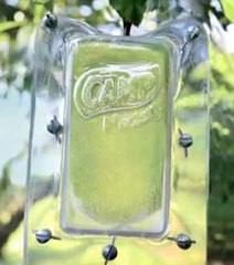 Ils ont réussi à fabriquer des fruits carrés