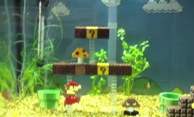 Découvrez l'aquarium Mario Bros